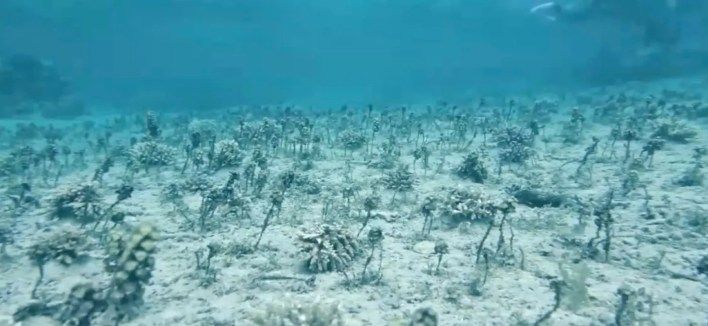 تكنولوجيا: هاتف Galaxy Z Fold7 يحصل على وضع التصوير المحيطي الاستثنائي من سامسونج