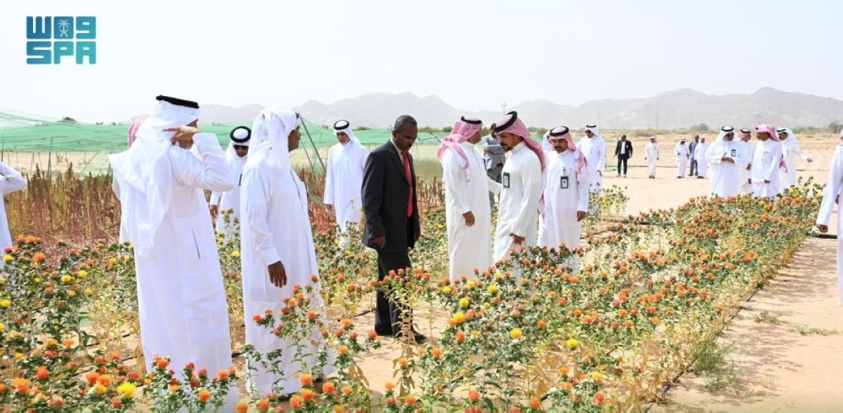 «استدامة» ينظم ورشة عمل بنجران لتعزيز الممارسات الزراعية لمحاصيل الكينوا والحنطة والأزولا