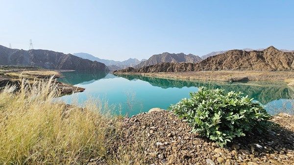 الأمطار الموسمية تعزز الموارد المائية في محمية وادي الوريعة بالفجيرة