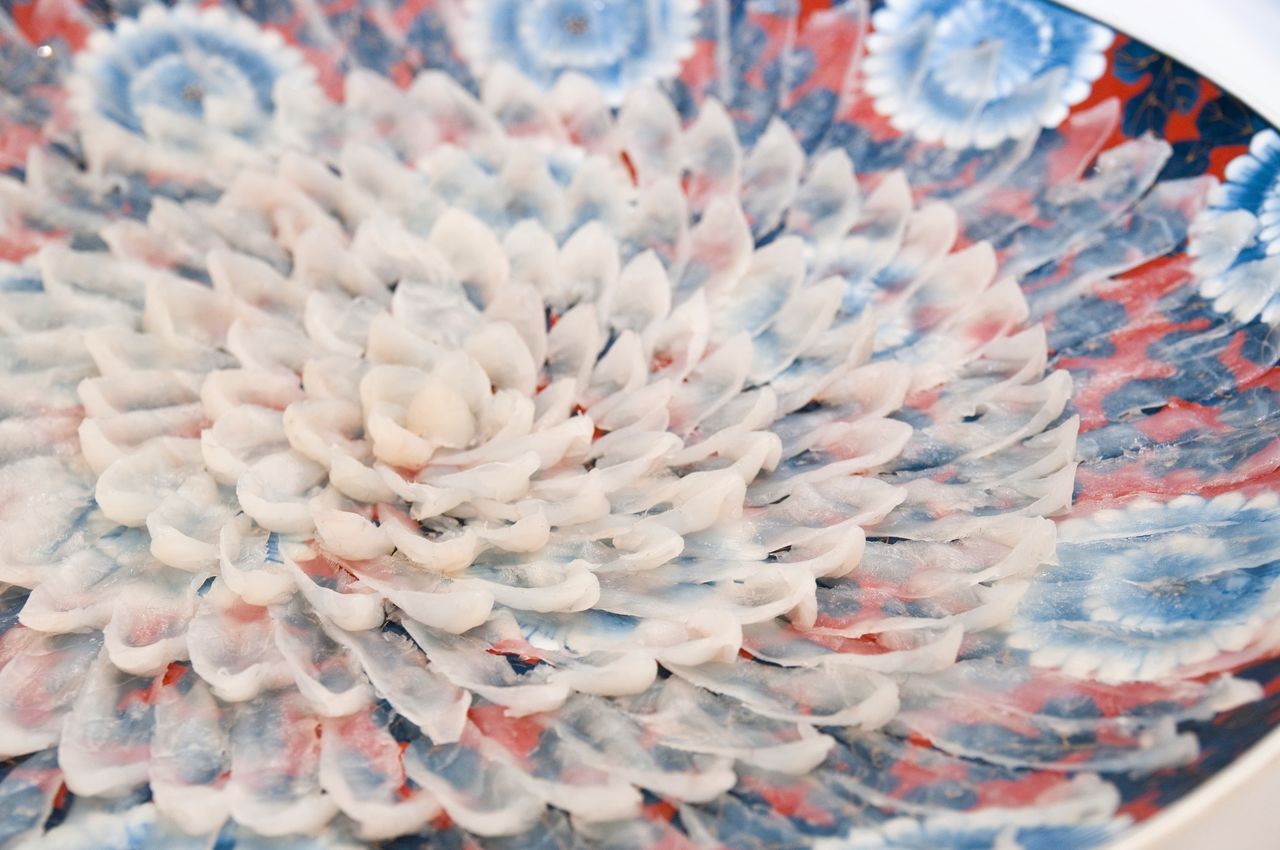 اليابان | سمكة الفوغو في اليابان: حين تتحول الوجبة إلى مغامرة محفوفة بالمخاطر!