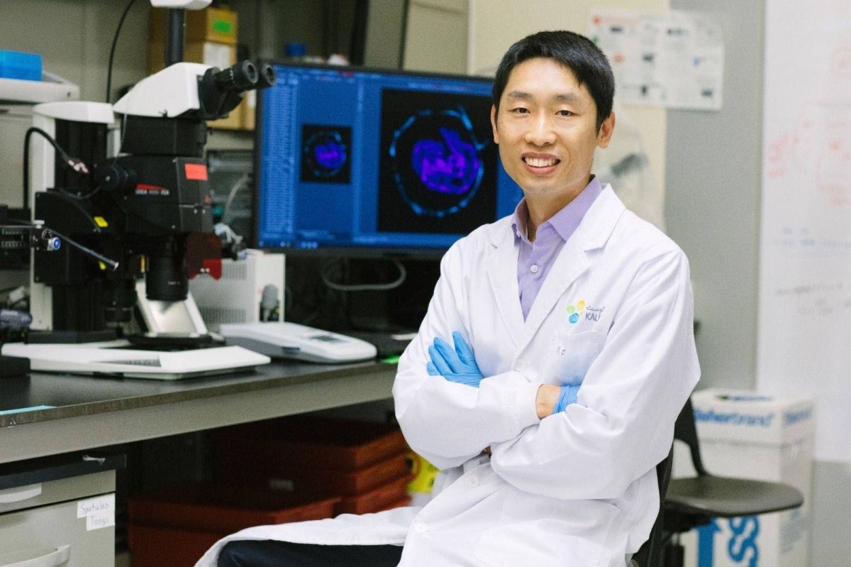 أبحاث الخلايا الجذعية في كاوست تساهم في تعزيز فهم مراحل النمو المبكر للإنسان