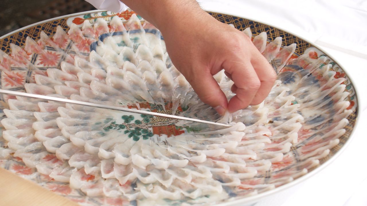 اليابان | سمكة الفوغو في اليابان: حين تتحول الوجبة إلى مغامرة محفوفة بالمخاطر!