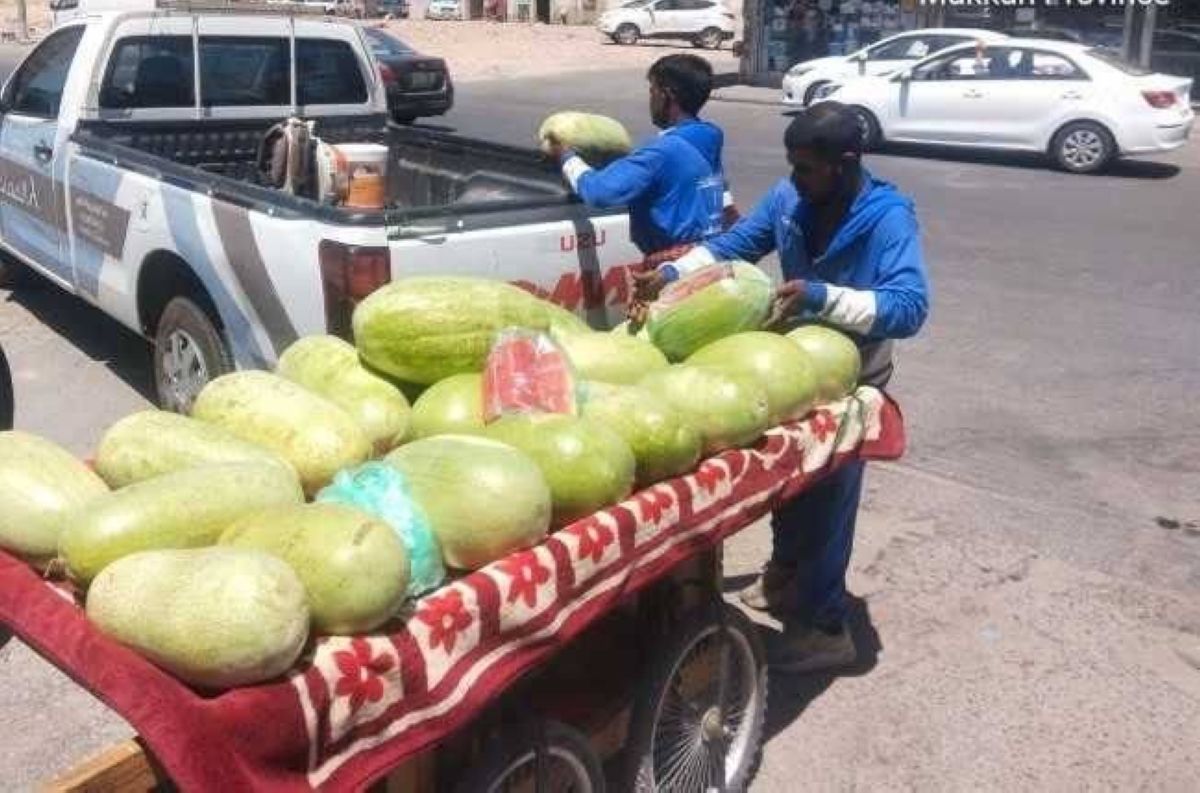 أمانة جدة تضبط 2.8 كجم خضروات وتُصادر بسطات مخالفة بنطاق العزيزية