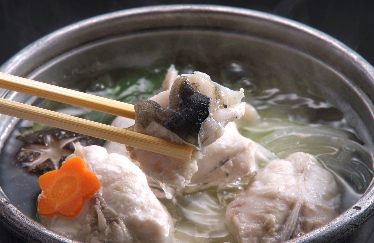 اليابان | سمكة الفوغو في اليابان: حين تتحول الوجبة إلى مغامرة محفوفة بالمخاطر!