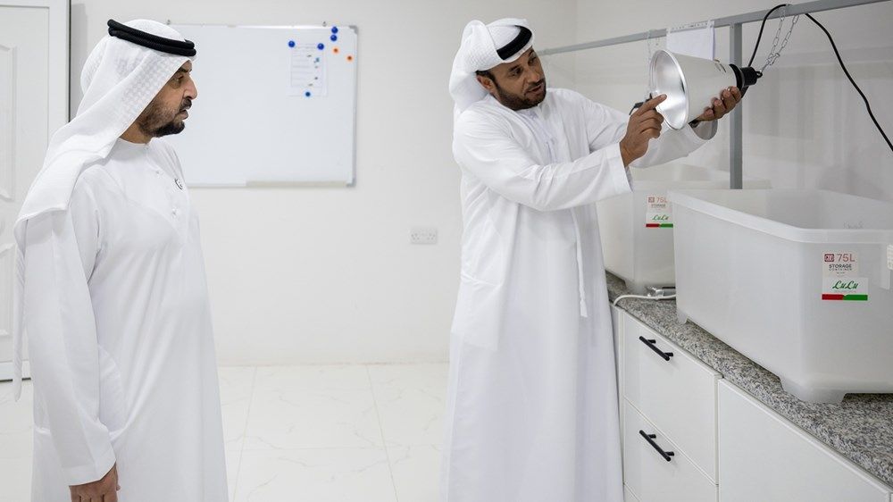 حمدان بن زايد يطّلع على مشروع لإكثار الحبارى والأرنب البري في منطقة الظفرة