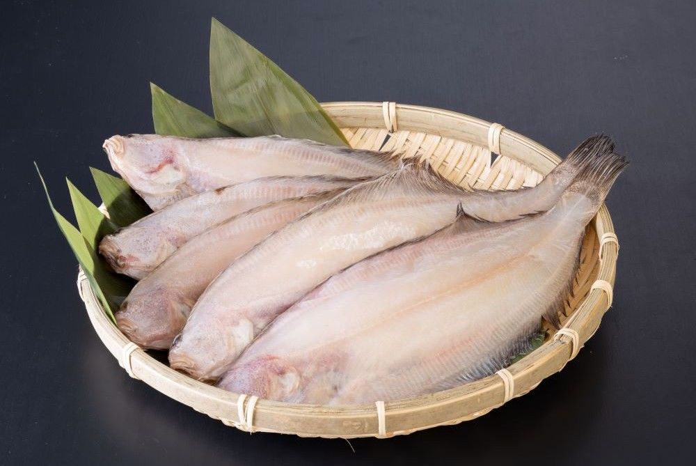 اليابان | اكتشف أشهي أطباق السمك المجفف في اليابان