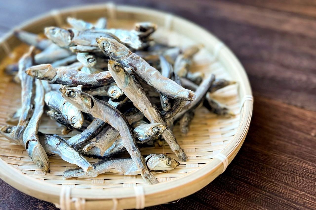 اليابان | اكتشف أشهي أطباق السمك المجفف في اليابان