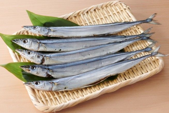 اليابان | اكتشف أشهي أطباق السمك المجفف في اليابان