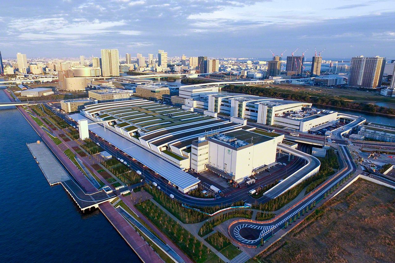 اليابان | سوق تويوسو في طوكيو: قلب العالم النابض بتجارة التونة الفاخرة