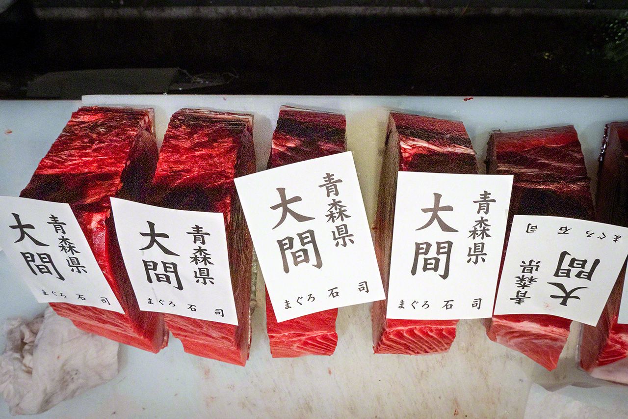 اليابان | سوق تويوسو في طوكيو: قلب العالم النابض بتجارة التونة الفاخرة