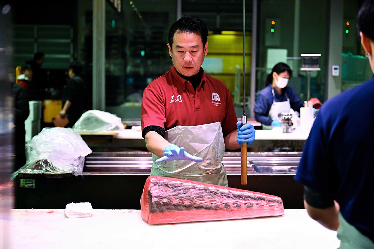 اليابان | سوق تويوسو في طوكيو: قلب العالم النابض بتجارة التونة الفاخرة