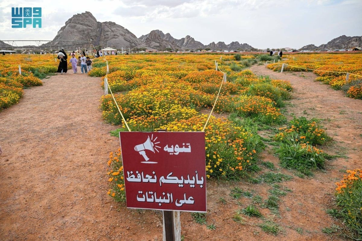 محمية توارن البرية بحائل.. تنوع طبيعي وإرث تاريخي يعززان سياحة المنطقة