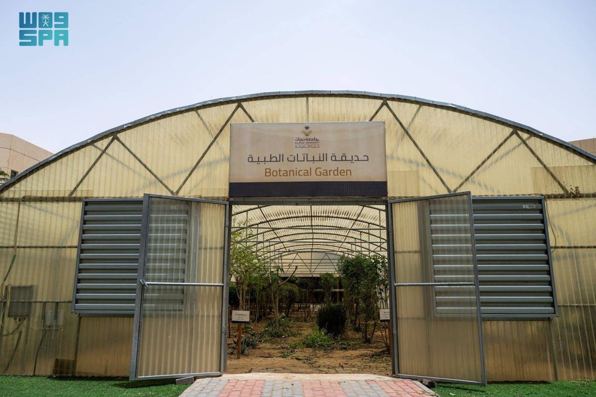 حديقة النباتات الطبية بجامعة نجران.. مبادرة تعزز التعليم والبحث العلمي