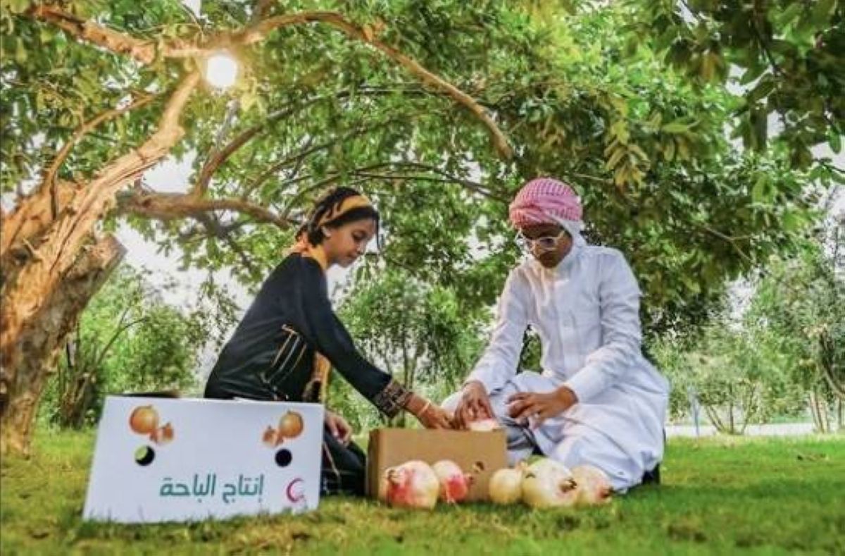 مزارع «رمان الباحة».. إنتاج وفير وفرص تسويق واعدة