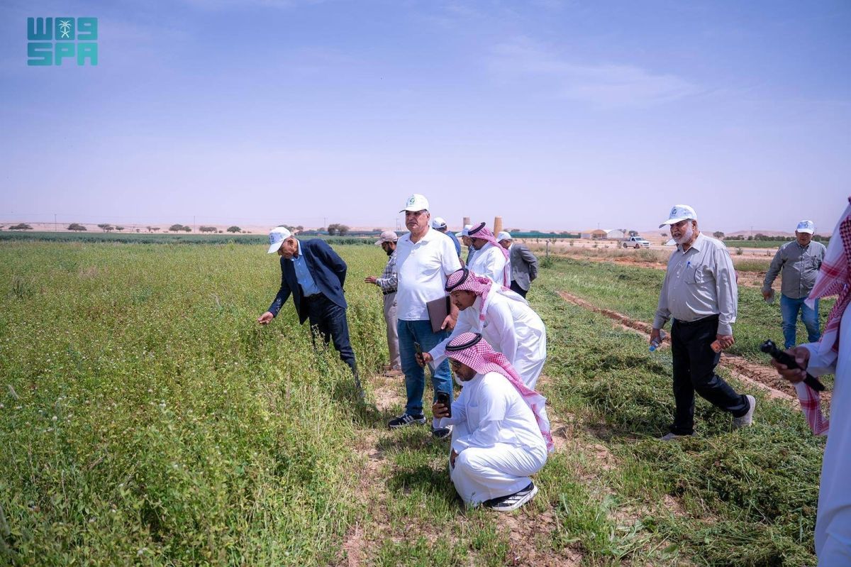 «استدامة» ينظم يوما حقليا بعنوان «الأعلاف الموسمية: إنتاجية المحاصيل والتطبيقات الحقلية»
