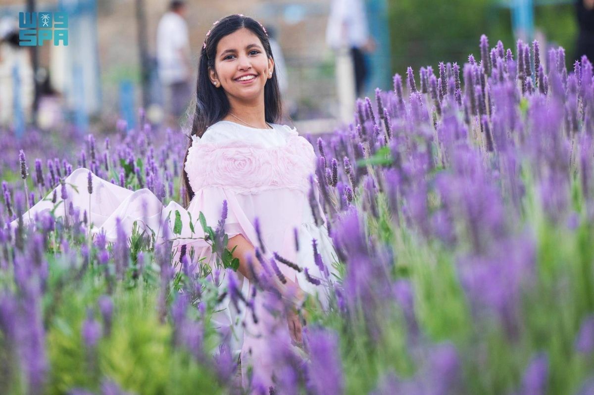 «نبات اللافندر» بالطائف.. يفتح آفاقا استثمارية وسياحية جديدة