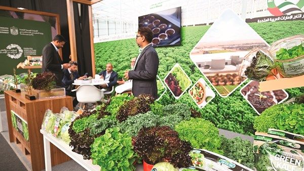 وكيل «التغير المناخي والبيئة» لـ«الاتحاد»: «المؤتمر والمعرض الزراعي» منصة للتحوّل نحو الزراعة الصناعية