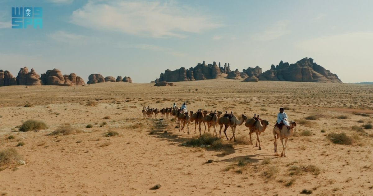 طريق الحج الشامي قديما.. 
رحلة إيمانية بين مسارات ومحطات متنوعة