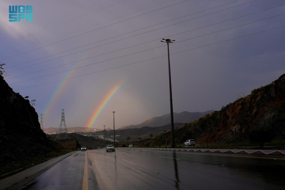 أمطار الربيع تنعش 
منطقة الباحة وتستقطب المتنزهين