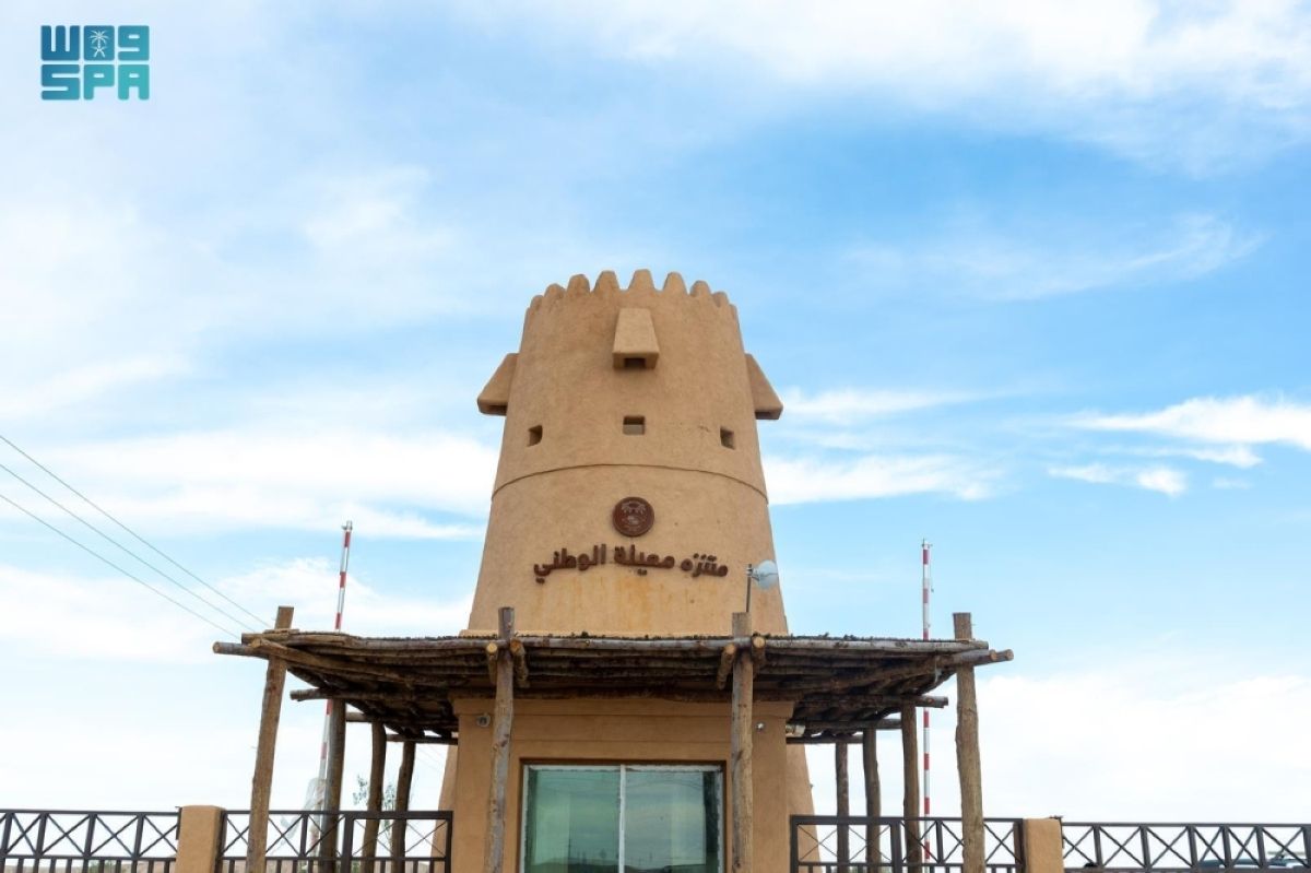 «معيلة الوطني».. 25 مليون م² من الوجهات الطبيعية الخضراء في قلب الحدود الشمالية