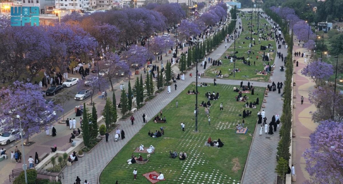 إقبال على مواقع الجاكرندا 
في أبها وسط أجواء ربيعية معتدلة