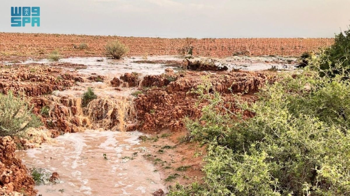 سيول الأمطار تنعش شعاب جنوب رفحاء وتحفز ازدهار الغطاء النباتي