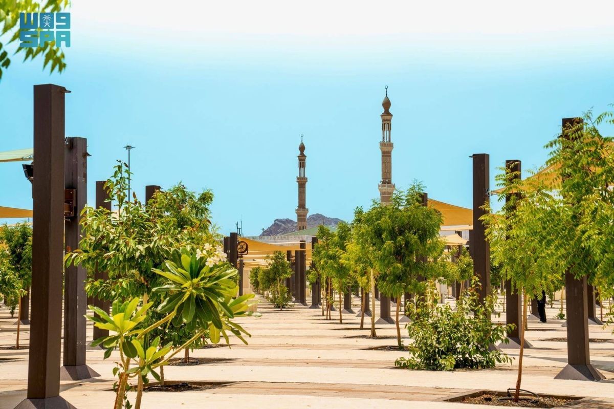 زراعة +60 ألف شجرة لدعم الاستدامة البيئية في المشاعر المقدسة