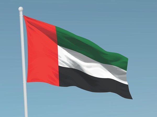الإمارات تؤسّس لجنة وطنية لتوثيق العدوان والجرائم الدولية