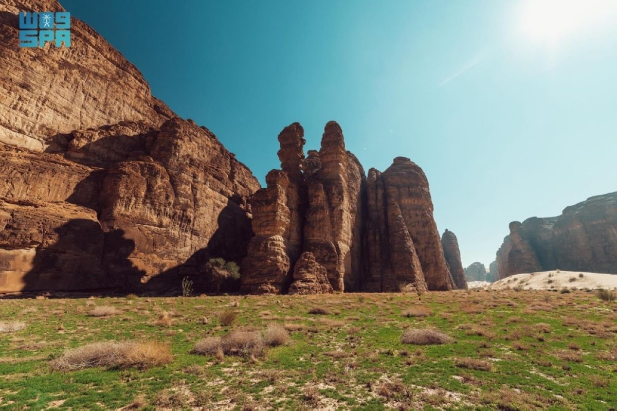 محمية شرعان بالعلا.. تنوع طبيعي ثري وجهود متكاملة لاستعادة النظم البيئية وتعزيز استدامتها