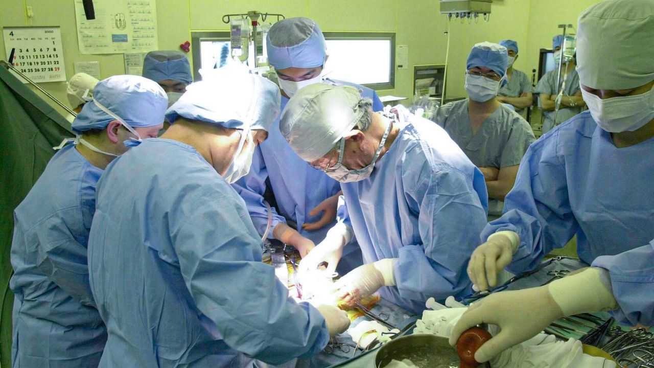 اليابان | إلى متى ينتظر المرضى زراعة الأعضاء في اليابان؟