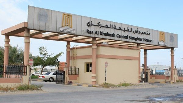 في «وقفة عرفة».. 1719 ذبيحة تستقبلها مقاصب رأس الخيمة