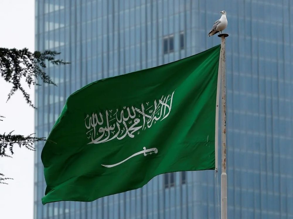 المملكة تدعو لتعاون دولي لمكافحة الاتجار غير المشروع بالأسلحة