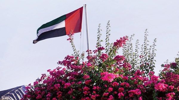 حملة توعية بمنطقة الظفرة للمحافظة على عَلم الدولة