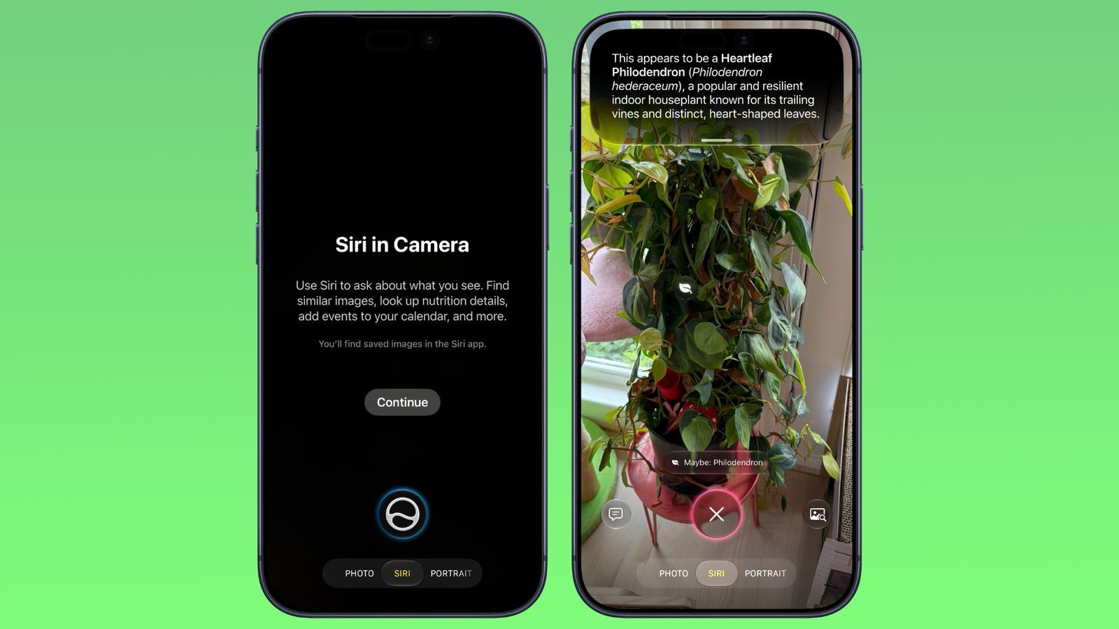 تكنولوجيا: تطبيق الكاميرا في نظام iOS 27 يحصل على وضعية سيري وتحديثات في واجهة المستخدم #WWDC2026