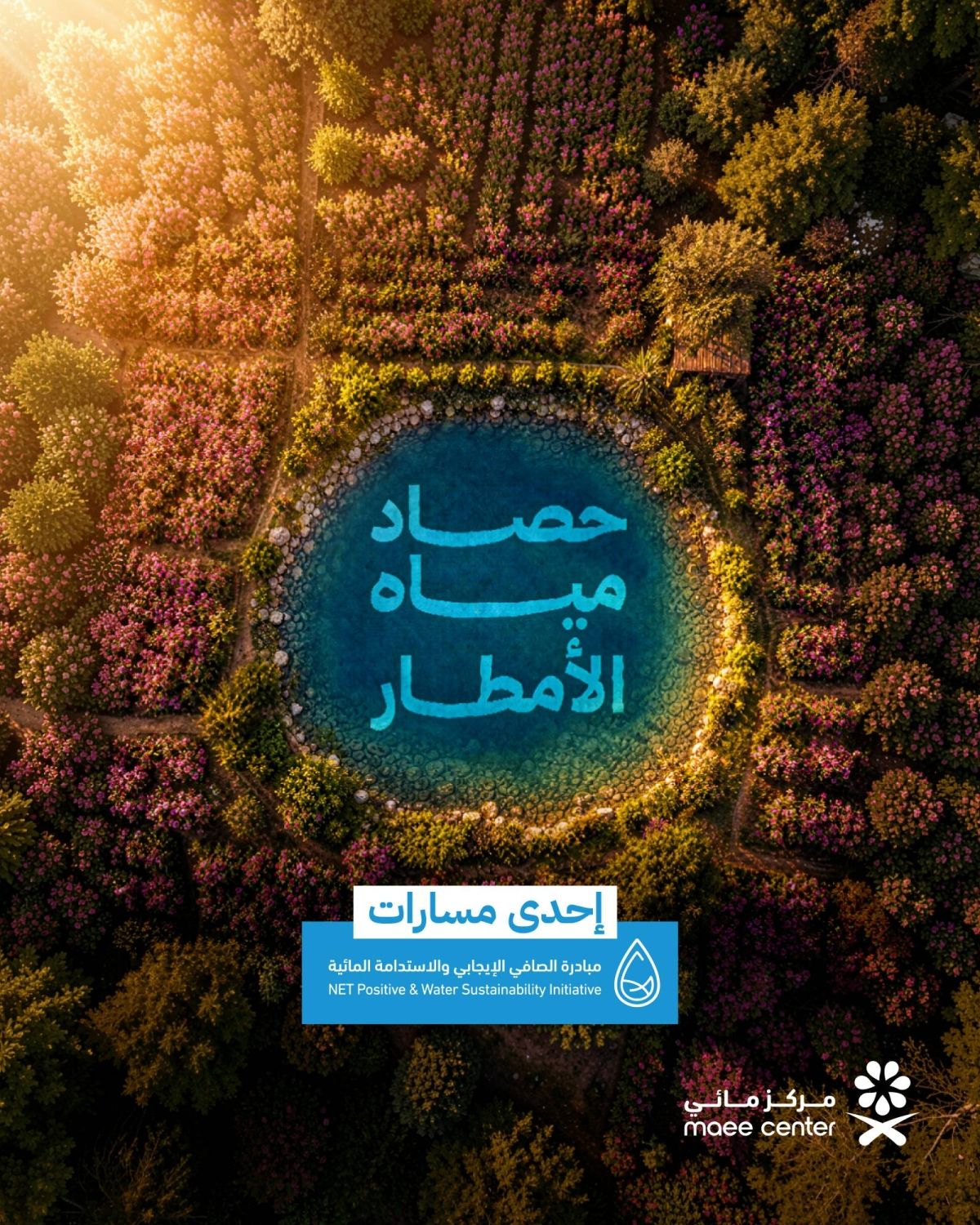 "مائي" يُطلق المرحلة الأولى لمشروع حصاد مياه الأمطار بالطائف