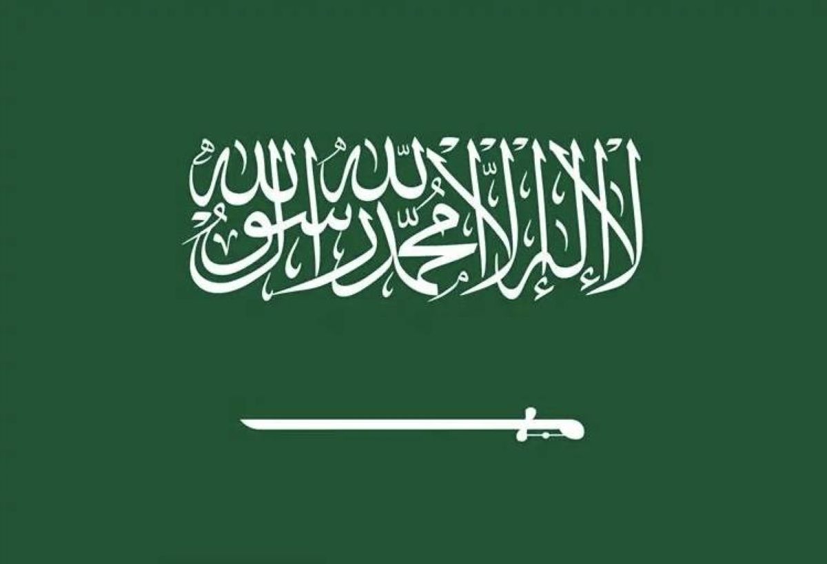 المملكة تفوز بأرفع جائزة للأمم المتحدة للخدمة العامة 2026 عن "بنك البيانات الوطني" ومنصة "استشراف" في سدايا