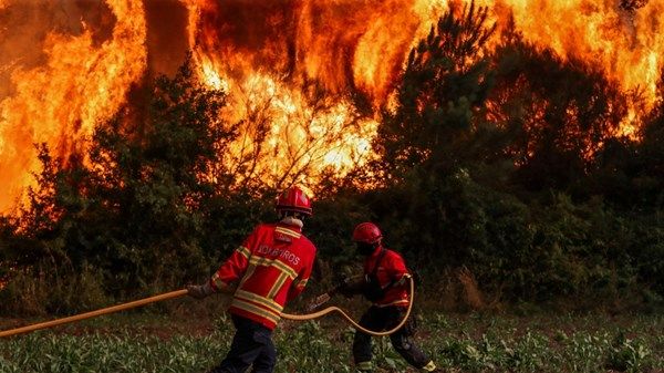 فرق إطفاء تكافح حرائق غابات في البرتغال واليونان