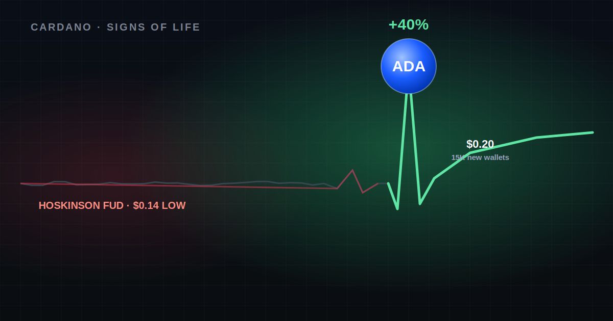 كاردانو تعود للحياة: سعر ADA يقفز بنسبة 40% بعد موجة خوف كبيرة