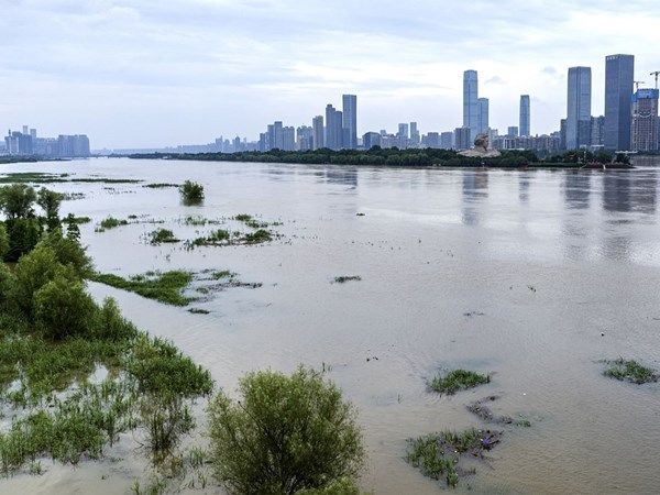 قتلى جراء أمطار غزيرة في لياونينغ بالصين