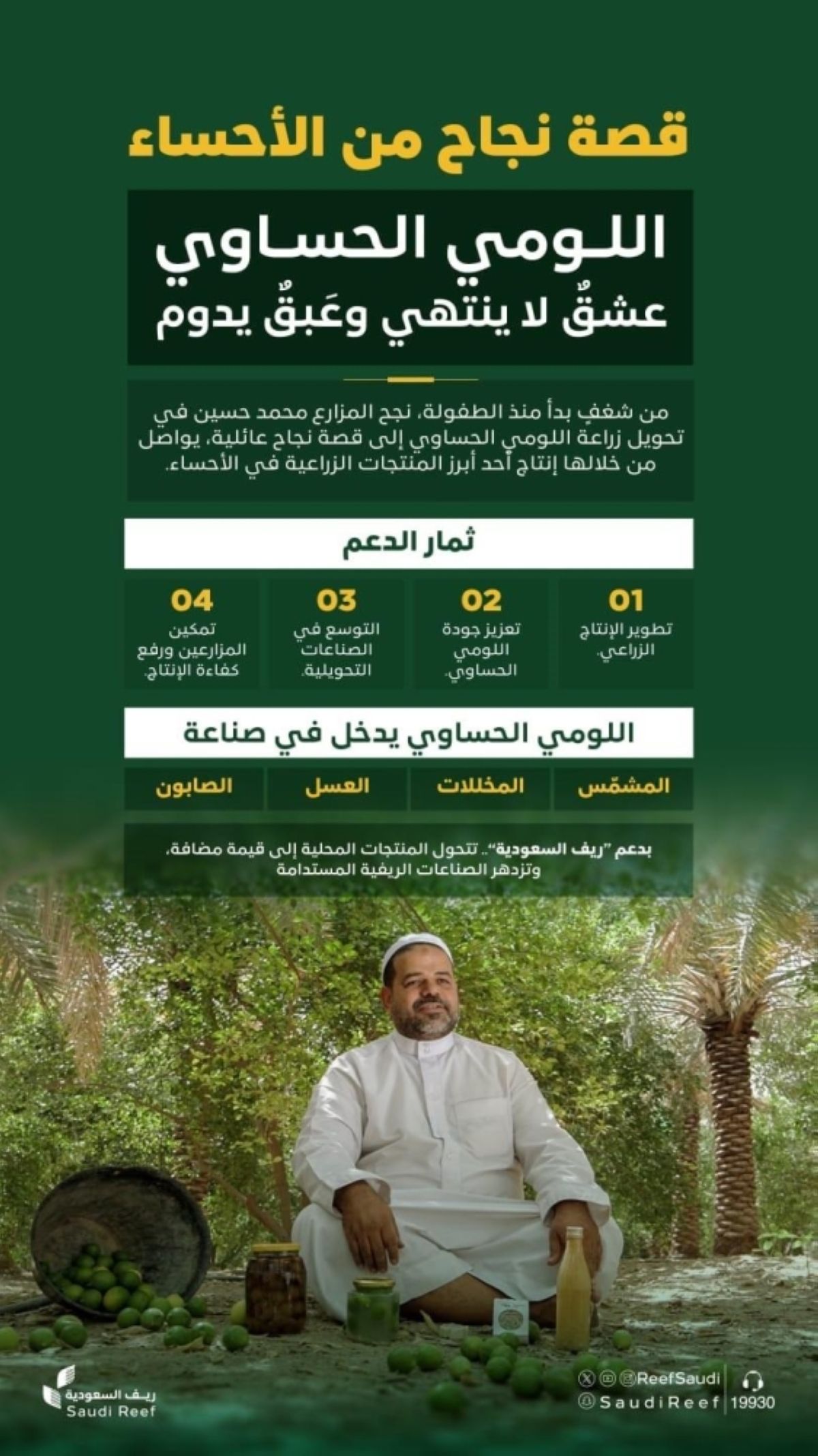 «اللومي الحساوي» موروث زراعي ينتجه مزارعو الأحساء ويغذي الأسواق بالمنطقة