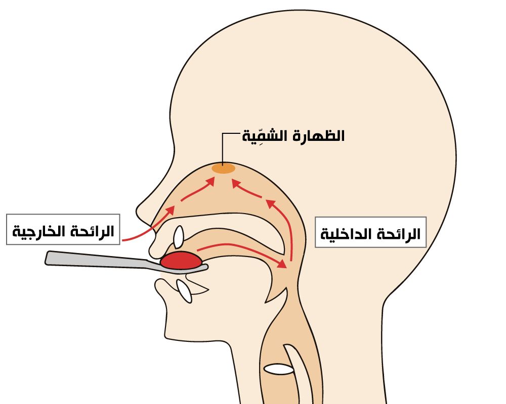 اليابان | ما السر الخفي وراء المذاق الفريد الذي يجعل لحم الواغيو الياباني يذوب في الفم؟