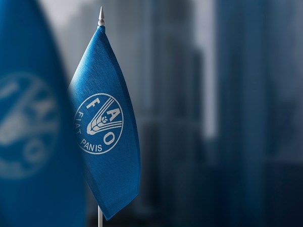"الفاو": مستويات الجوع تتراجع عالمياً للعام الثالث على التوالي