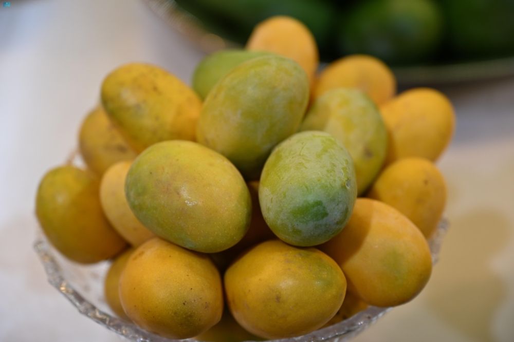أخبار من السعودية.. موسم المانجو يرفع النشاط الزراعي ويضخ 31 ألف طن بالأسواق