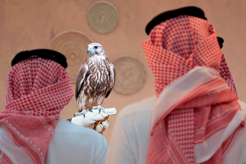 أخبار من السعودية.. من الرياض إلى العالم.. انطلاق أكبر مزاد دولي للصقور في ملهم