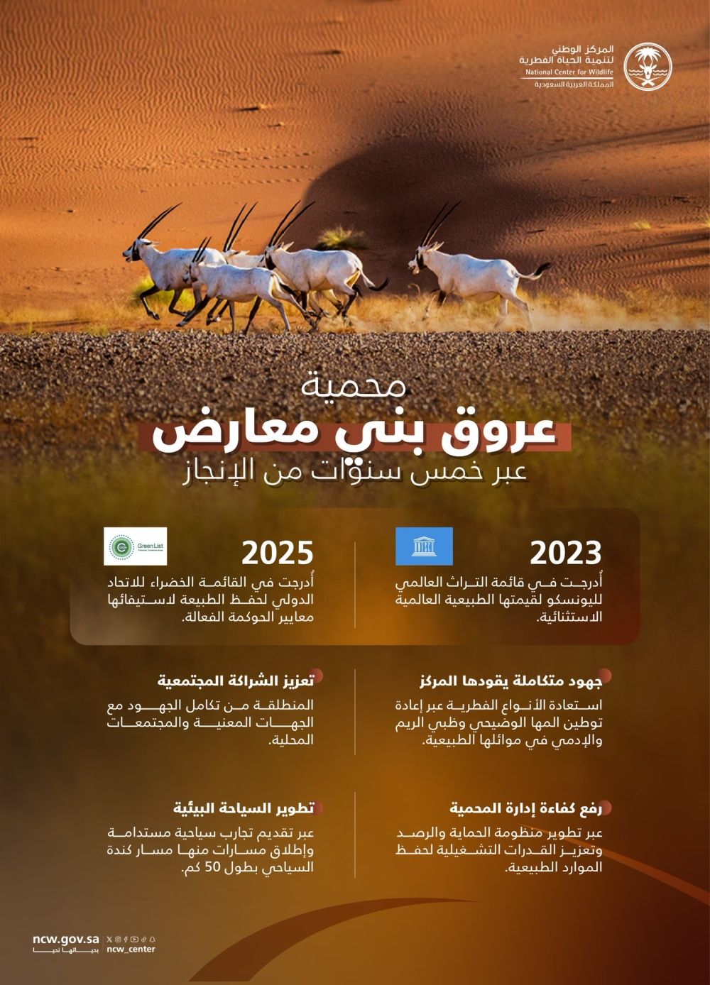 أخبار من السعودية.. محمية عروق بني معارض.. إنجازات 5 أعوام تعزز مكانتها بين الأبرز عالميا