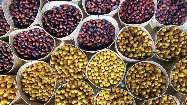«الوثبة للرطب» يتوج الفائزين في نخبة الوثبة و«لولو»