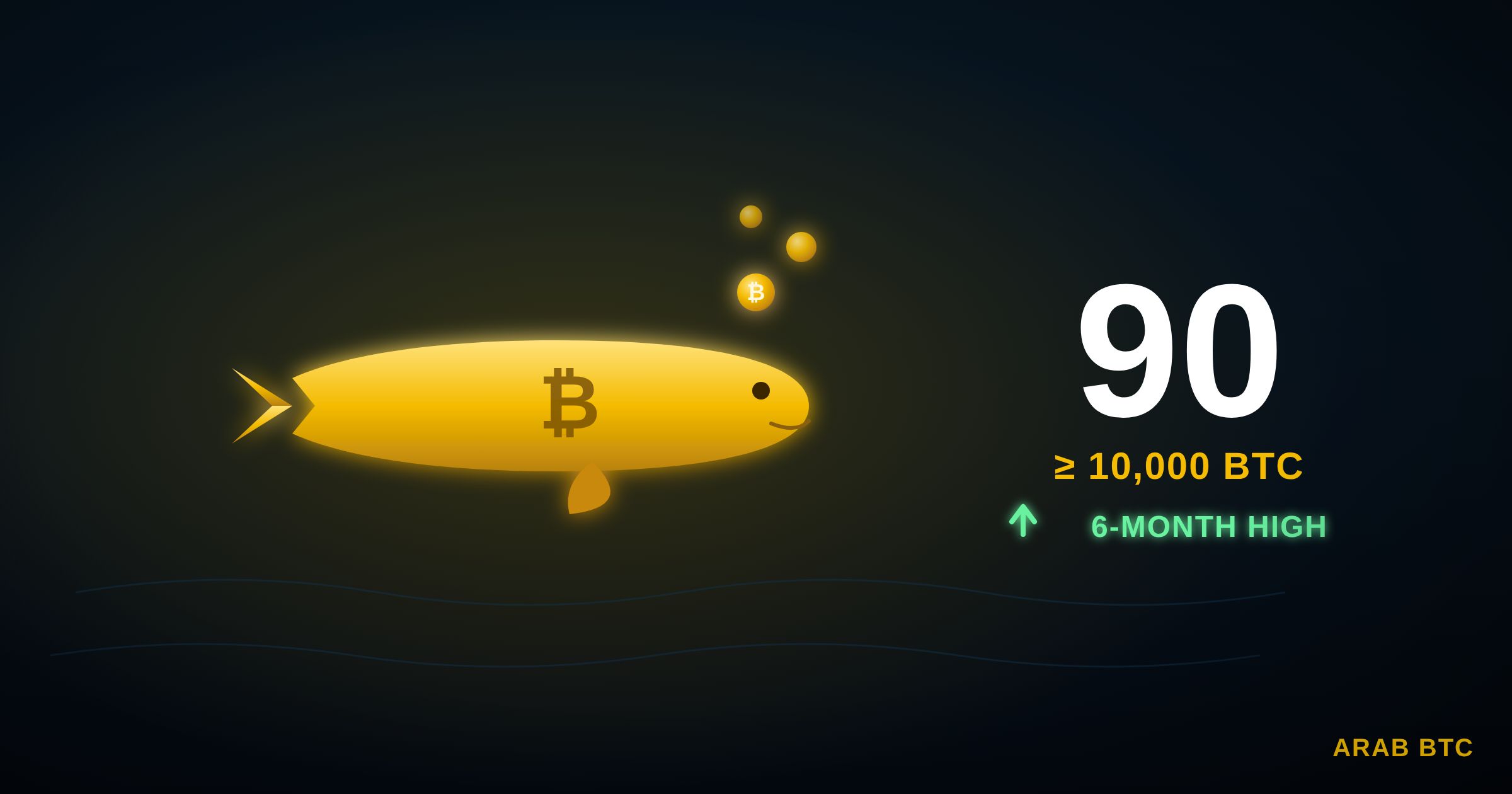 محافظ البيتكوين الكبرى تصل إلى أعلى مستوى لها منذ 6 أشهر و90 محفظة فقط تملك أكثر من 10 آلاف بيتكوين