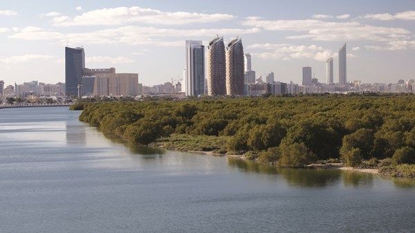 انخفاض درجات الحرارة على المناطق الساحلية غداً