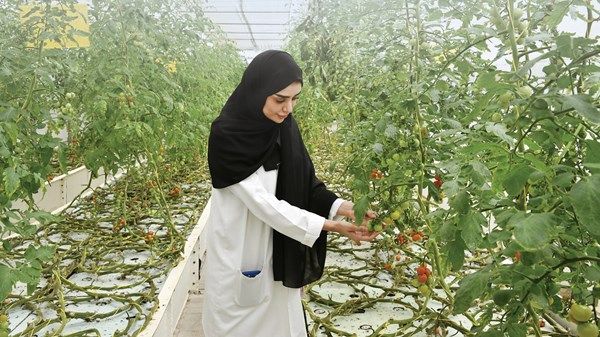 ممثل «الفاو» في الدولة: الإمارات نموذج ملهم لدور المرأة في النهوض بالأمن الغذائي