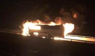 وفاة أكثر من 30 معتمرًا وإصابة آخرين في حادث مروري بالسعودية